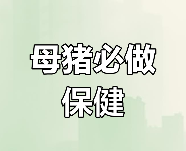 如何进行母猪保健？