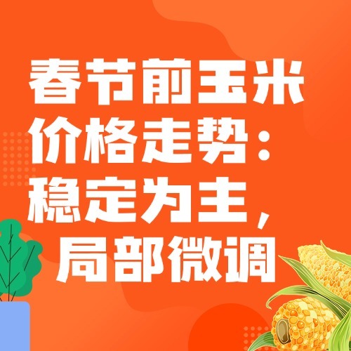 春节前玉米价格走势：稳定为主，局部微调
