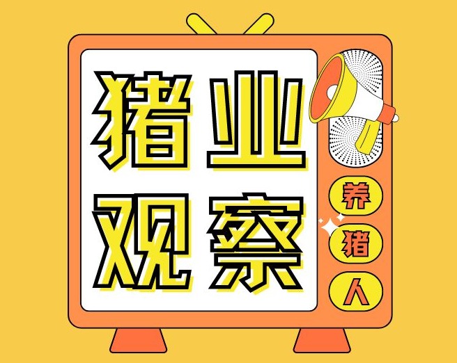 贸易战新武器：中国如何用猪肉关税反击特朗普？