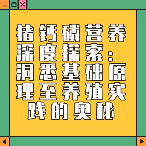 猪钙磷营养深度探索：洞悉基础原理至养殖实践的奥秘