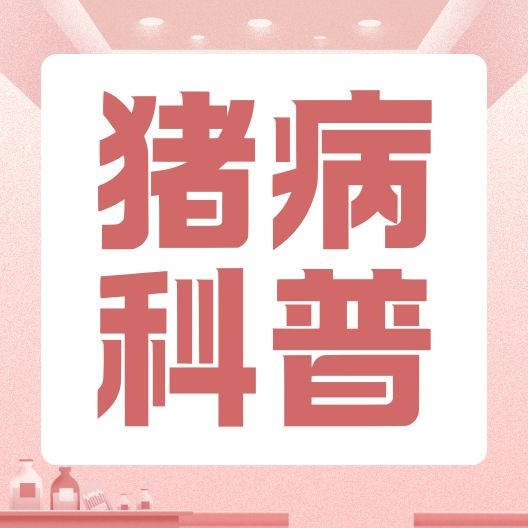 保育仔猪的发病特点及诊断技术