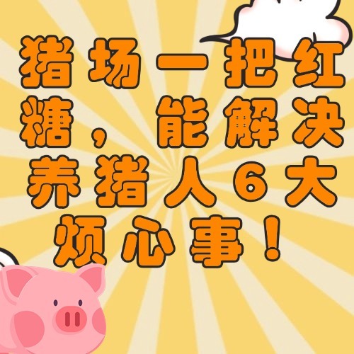 猪场一把红糖，能解决养猪人6大烦心事！