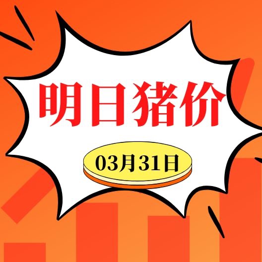 3.31明日猪价早知道,全国最新猪价信息