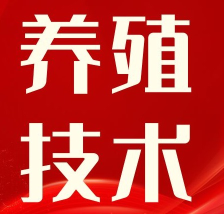 猪夜间磨牙的原因有哪些，该如何防治？