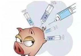 硫酸新霉素的药理特点及肠炎治疗方案