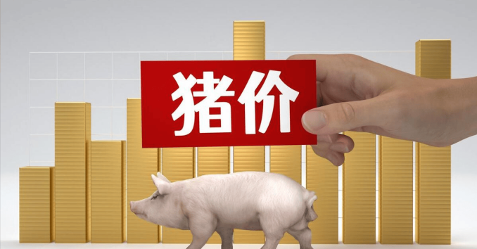 2025年4月10日，明日猪价