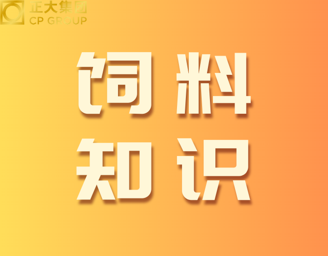 饲料酶制剂全解析！饲料酶制剂如何提升养殖效益？