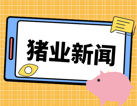 特朗普“90天暂停”难救场，美玉米出口再迎欧盟暴击