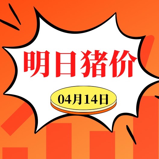 涨！涨！涨！4.14明日猪价早知道，全国最新猪价信息