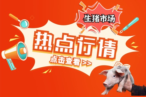 日跌超100元/吨！豆粕降价潮再起，饲料价格究竟会走向何方？