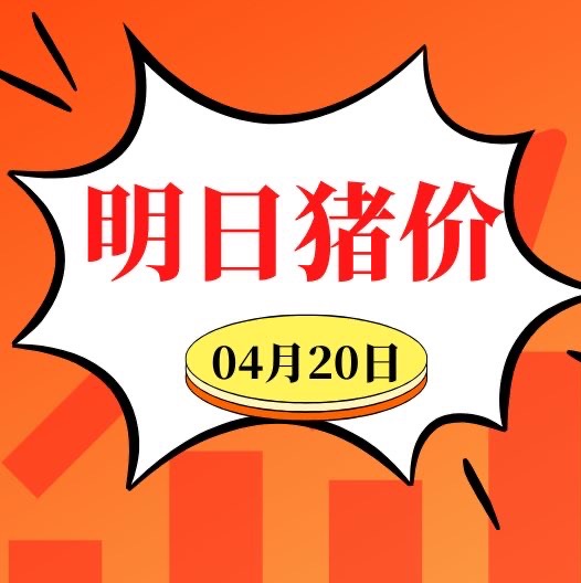 涨涨涨！4.20明日猪价早知道，全国最新猪价信息