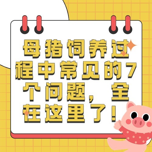 母猪饲养过程中常见的7个问题，全在这里了！