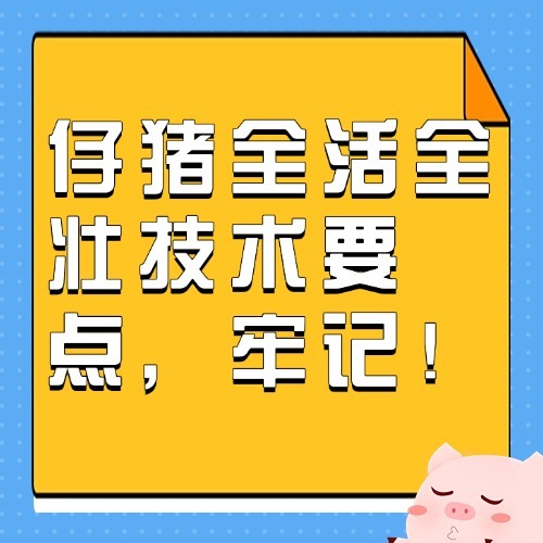 仔猪全活全壮技术要点，牢记！