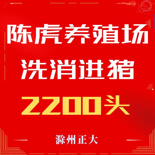 热烈祝贺固镇县陈虎养殖场洗消进猪2200头！