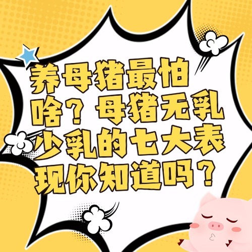 养母猪最怕啥？母猪无乳少乳的七大表现你知道吗？