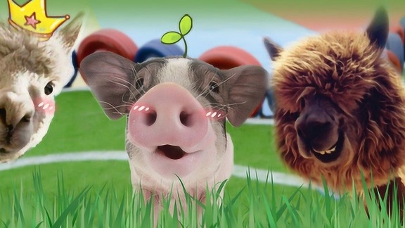 近期生猪价格为何不跌反涨？二次育肥叠加养殖端压栏，本轮猪价上涨能坚持多久？