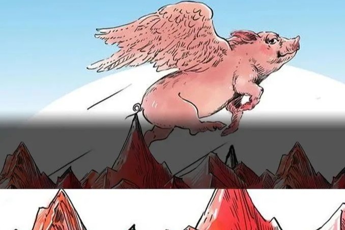 4月27日生猪价格涨跌表！全国猪价未来走势预测！