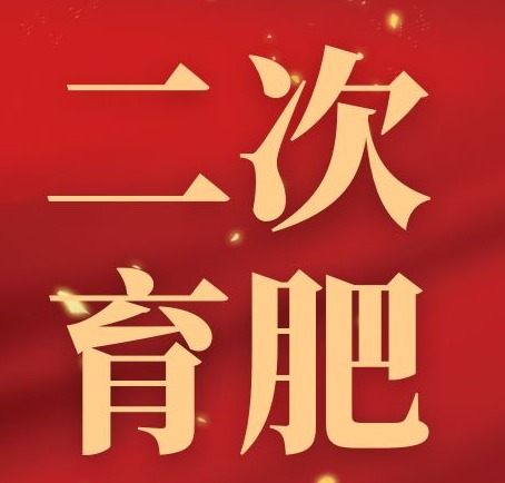 二次育肥补栏热度提升，猪价后期降价空间较小？