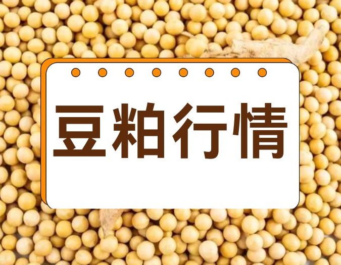 突发！豆粕骤降500元/吨，下跌原因何在？