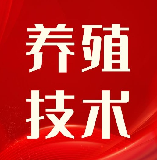 维生素E、左旋肉碱等微量元素对繁殖母猪有何影响?
