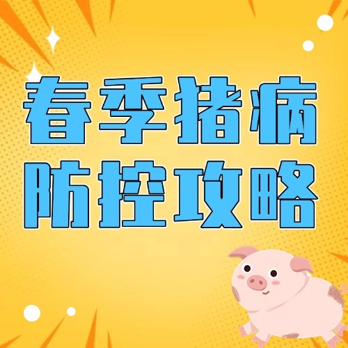 春季猪病防控攻略