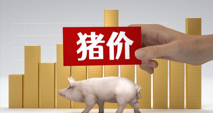 2025年4月30日，明日猪价