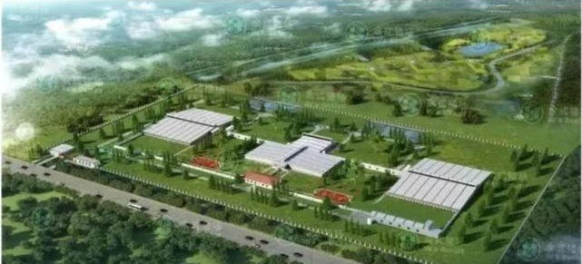 生物安全措施不当导致猪场发生蓝耳病复盘