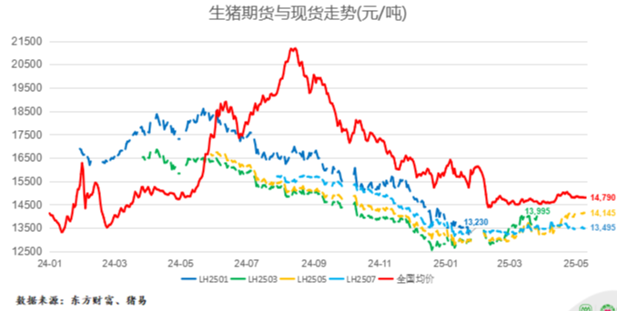 猪价行情及生猪期货行情动态（2025.5.12）