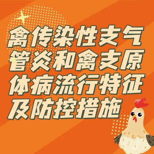 禽传染性支气管炎和禽支原体病流行特征及防控措施