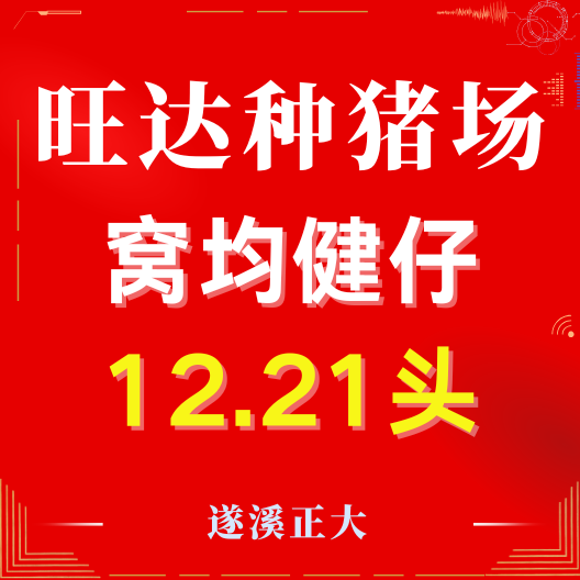 热烈祝贺旺达种猪场批次化生产成绩优异！