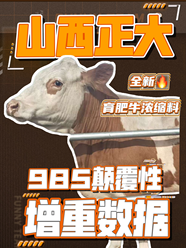 山西正大全新育肥牛浓缩料985震撼性增重数据