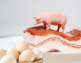 仔猪高位运行 养殖成本抗压 | 鸡蛋价格走跌 