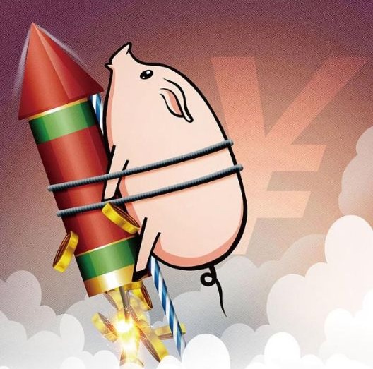 夏天养猪怎么才能让猪不掉膘?