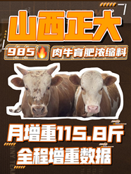 山西正大颠覆性的产品，震撼性的增重数据！