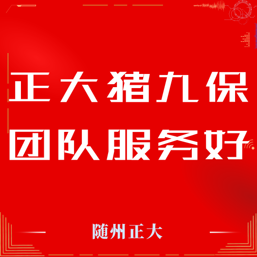 猪九保团队服务在一线！