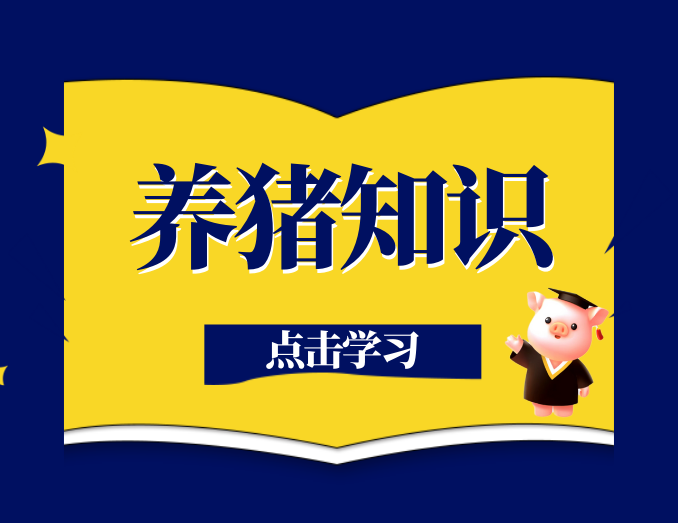 规模猪场非洲猪瘟防控关键点，一定要看！