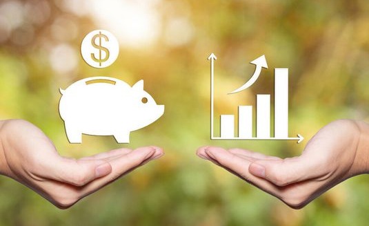 饲料对养猪的影响