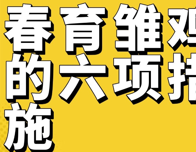 春育雏鸡的六项措施