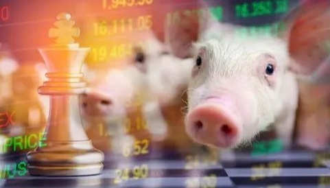 25年如果你还养猪，这十条建议你一定要看看！