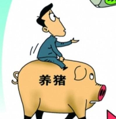 夏季猪场常见的三种疾病，养猪人一定要重视