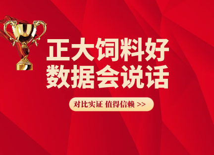 正大饲料好 数据会说话(124) — 正大182+582肉牛料，头均月增重利润801.45元