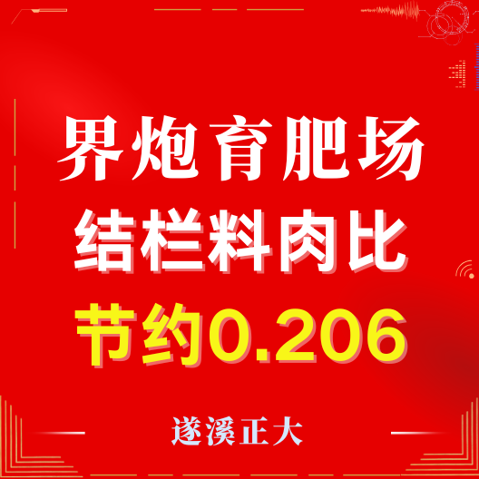热烈祝贺遂溪正大四方利项目界炮2200育肥场结栏成绩优异！