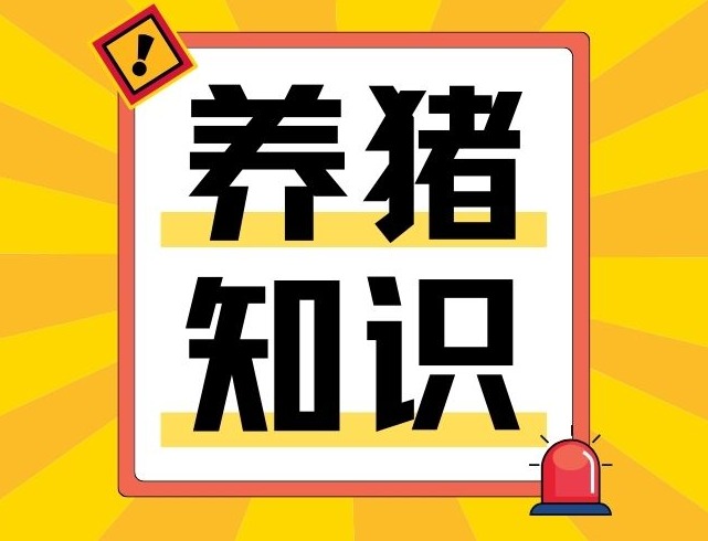 高效定输方案：让批次化生产“多生猪、少花钱、更省心”！