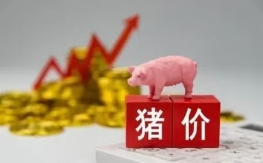 15公斤仔猪价格：猪价破7一触即发，仔猪补栏成本再下降