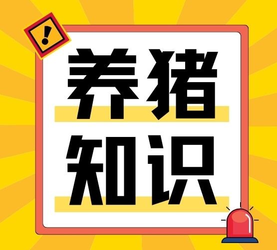 仔猪体重差异原因有哪些？怎么饲养管理更恰当？