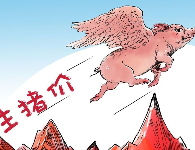 重大利好！猪价要飞了，拐点确认！国家出手！猪肉股、生猪期货全线飘红！