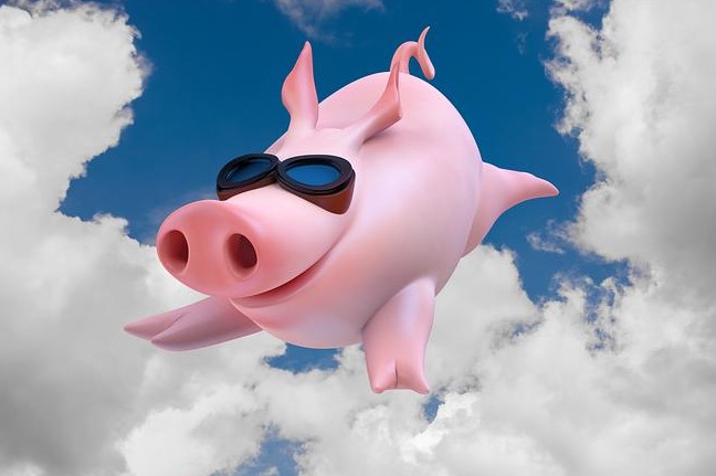 供应过剩、需求疲软！2025 年 6 月养猪行业的三大困局与转机