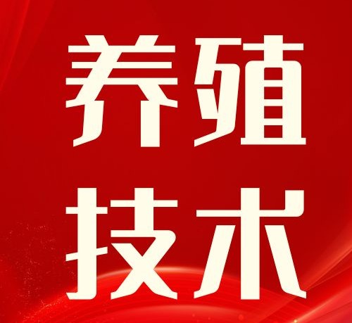 猪病防治顺口溜！值得养猪人收藏！