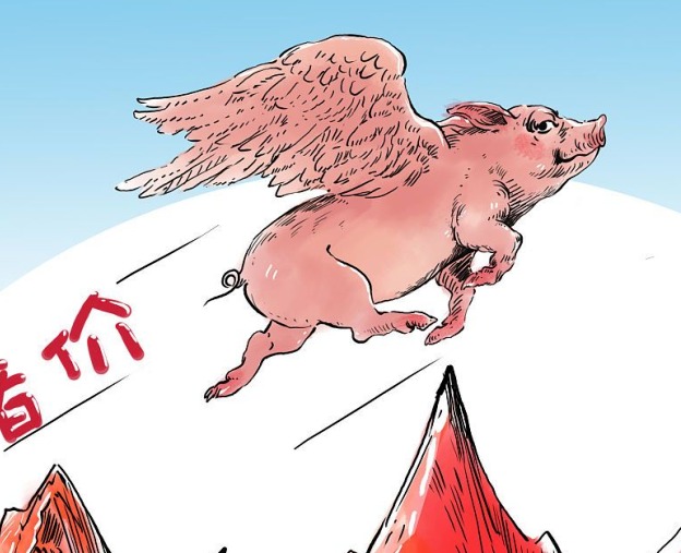 生猪市场供需博弈，价格何时反弹，养猪还有盈利空间吗？