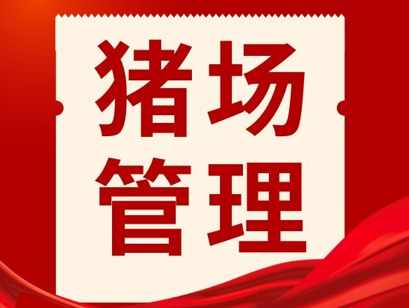 猪场日常管理的3大漏洞，记得避开！